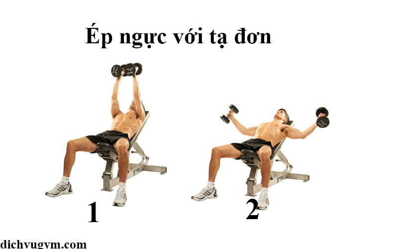 dumbbell flyes
