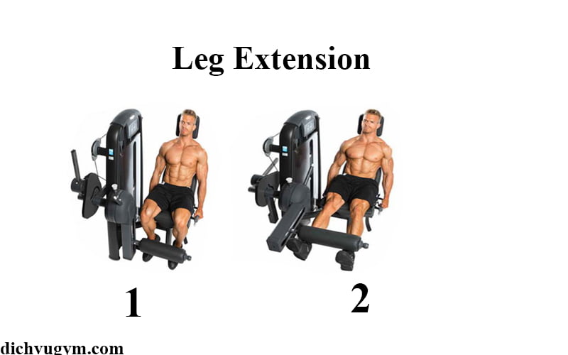 Leg extension