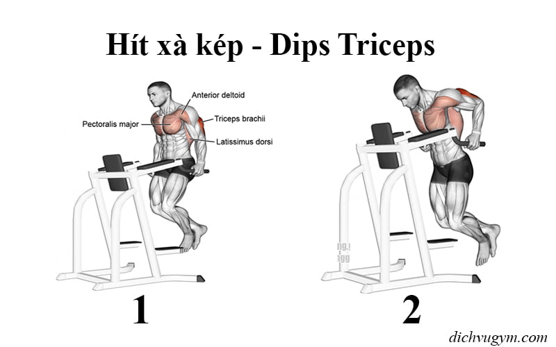 Hít xà kép tập tay sau